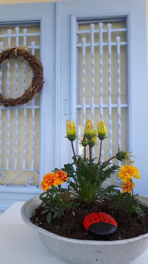 Cavos Seaside House Villa Vathy  Eksteriør billede